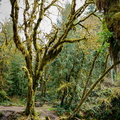 Falls Creek Campground