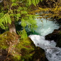Falls Creek Falls