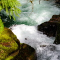 Falls Creek Falls