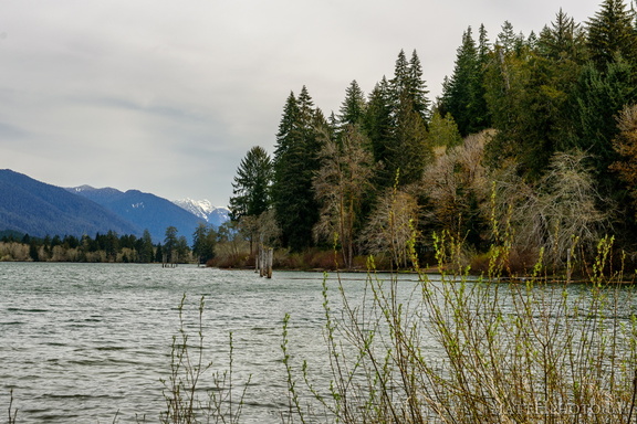 Lake Quinault