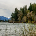 Lake Quinault