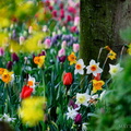 Look at the colours