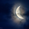 flickr-33459994561.jpg
