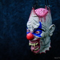 Creatures of the Night