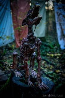 Creatures of the Night