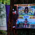 flickr-32493902215.jpg