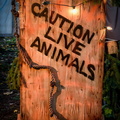 Creatures of the Night