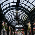 Under Iron and Glass