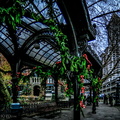 Holiday Pergola