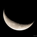 flickr-30522571096.jpg