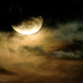 flickr-29669584152.jpg
