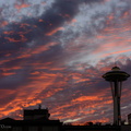 flickr-29526109521.jpg