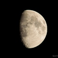 flickr-28945757535.jpg