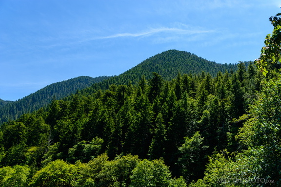Sourdough Mountain, Lake Crescent