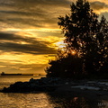 flickr-28871386786.jpg