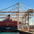 Apl Le Havre, Singapore