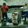 Forks Timber Museum