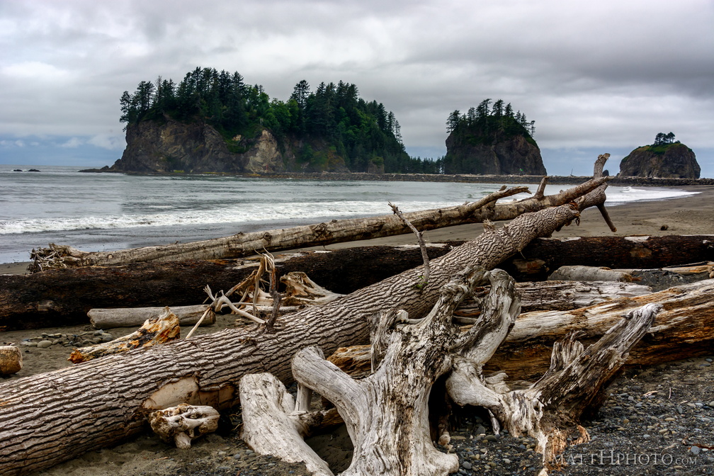 Driftwood near James Island