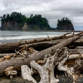 Driftwood near James Island