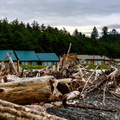 Wood and Cabins