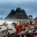 Little James Island