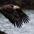 Lord of the Swinomish
