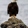 I'm ready for my close-up