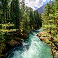 River Ohanapecosh