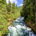 River Ohanapecosh
