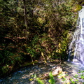 Plunge Pool