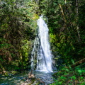 Plunge Pool