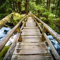 Bridge Over Laughingwater Creek