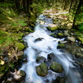Laughingwater Creek