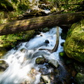 Laughingwater Creek