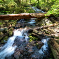 Laughingwater Creek