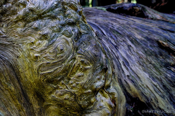 Whorls within whorls