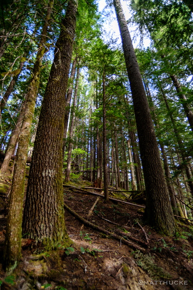 flickr-27016444261.jpg