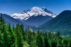 Mount Rainier