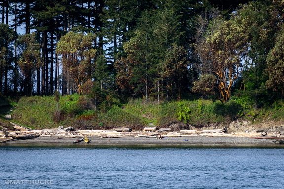 Visitors on Saddlebag Island