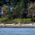 Visitors on Saddlebag Island