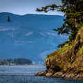 Island Corner