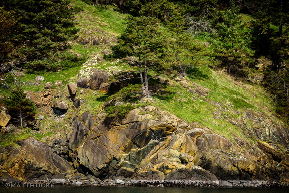 Tree on the point