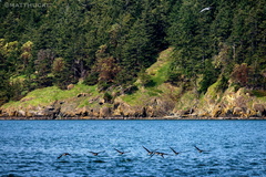Hat Island Approach