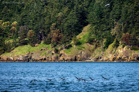 Hat Island Approach