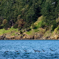 Hat Island Approach