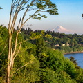 Discovery Park