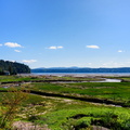 The Low Lands