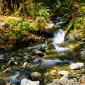 Tiny Falls by the Duckabush River