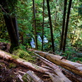 Earth, Wood, Water
