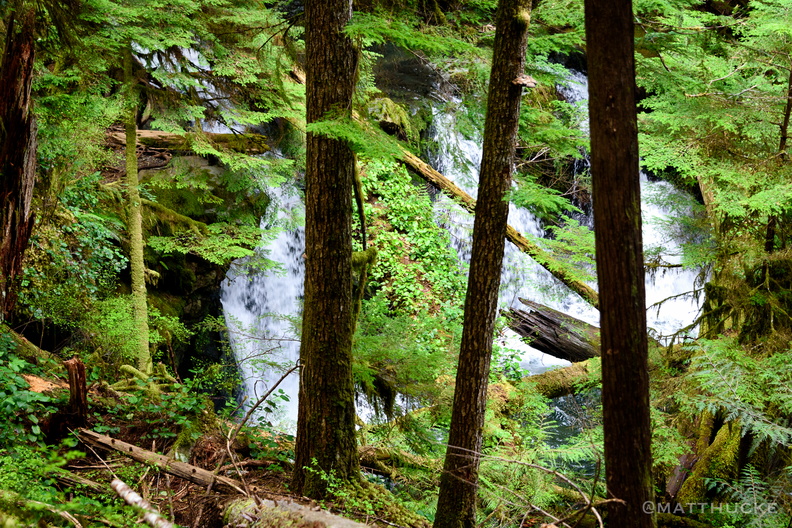 flickr-25757760433.jpg